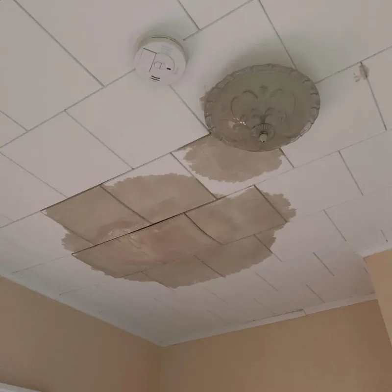 Ceiling Water Damage Repair in Altamont, KS