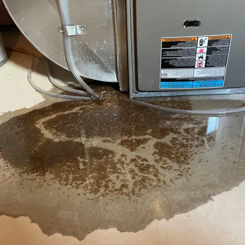 Pipe Burst and Leak Restoration in Altamont, KS